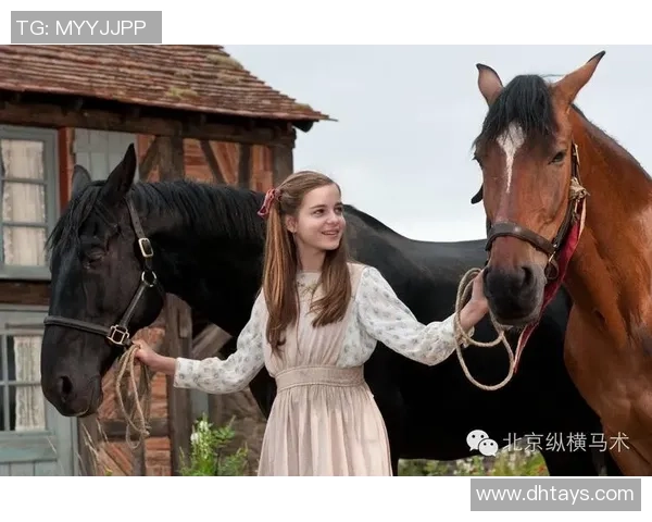 心灵的碰撞与德岛的魅力交织探索人性与自然的和谐之旅